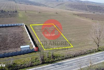 Teren de 1600 mp, în Somova - 1