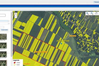 12 Ha Teren Agricol Vlad Tepes CL - 1