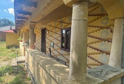 Casă cu 2 camere în Slăvești - 3