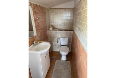 Casă individuală cu 6 camere cu Canalizare în Domenii - 15