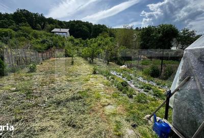 Casă cu 3 camere cu Teren 1180 Mp în Săsciori - 8