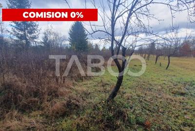 Teren extravilan 1000 mp Statiunea Climaterica Sambata de Sus - 1