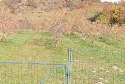 Spațiu comercial, în Central - 5