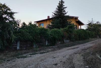 Spațiu comercial, în Ciolpani - 4