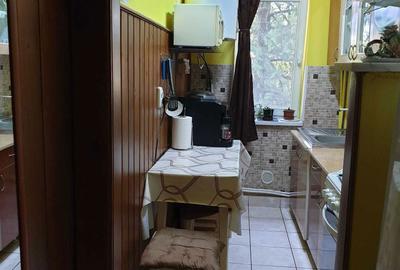 Apartament cu 2 camere semidecomandat în Botizului - 2
