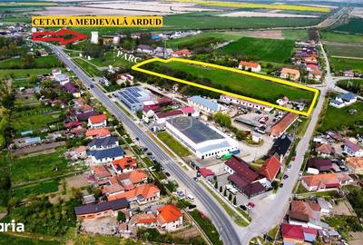 Teren de 12180 mp, în Burdea