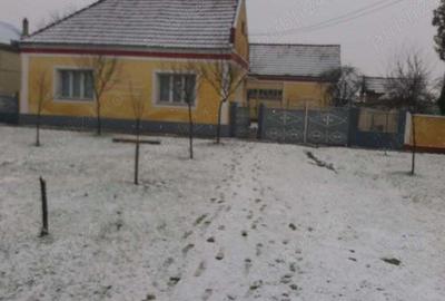 Casă cu 6 camere în Alioș - 2