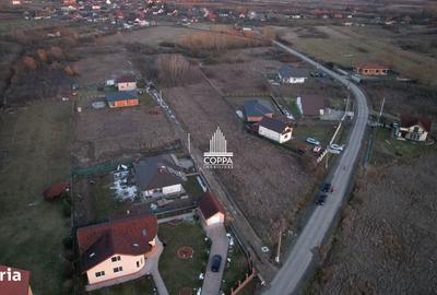 Teren de 2016 mp, în Tăuții-Măgherăuș