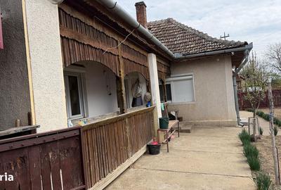 Casă cu 3 camere cu Teren 1798 Mp în Pișcolt - 6