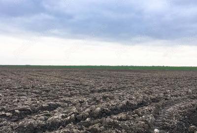 Teren de 75000 mp, în Costești - 2