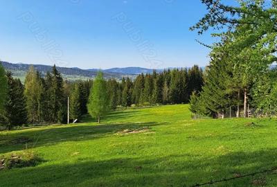 Teren de 30000 mp, în Șaru Dornei - 1