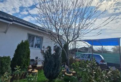 Casa de vanzare parter Sabareni jud Giurgiu - 4