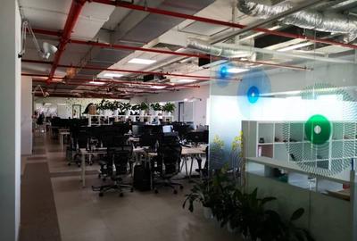 0% comision! Inchiriere birouri Presei Libere, 1130 - 11126 mp - 13