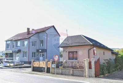 Casa cu 2 camere si 912 mp teren de inchiriat, zona Baciu - 2