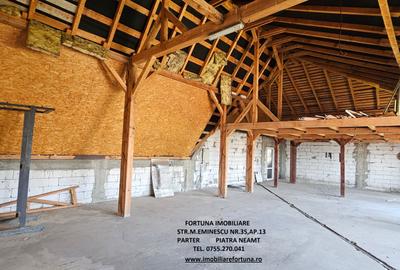 Complex imobiliar format din hale,sediu firma, studio locuit, teren, D-va Rosie - 9
