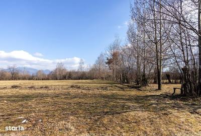 Spațiu comercial, în Bran - 9