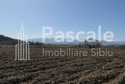 Teren de 5500 mp, în Șelimbăr - 4