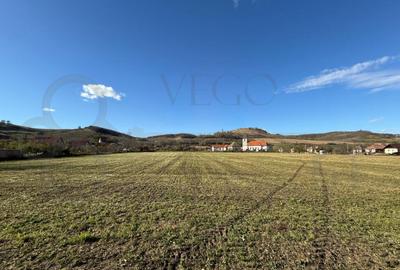 Teren de 7342 mp, în Alma