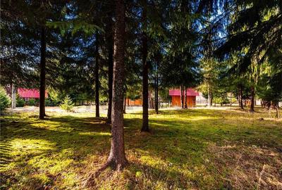 Pensiune cu 10 camere si 3700 mp teren, Arieseni - 3