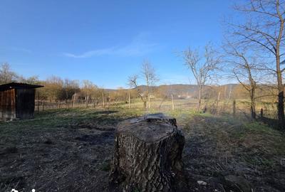 Casă cu 4 camere cu Teren 1887 Mp în Burjuc - 2