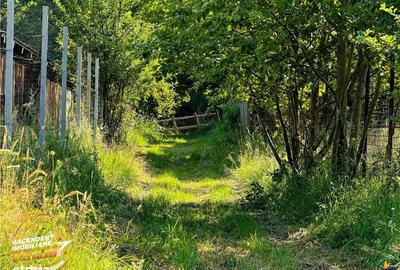 Spațiu comercial, în Valea Dobârlăului - 3