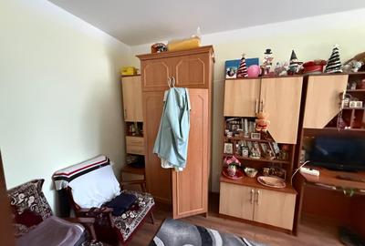 Apartament cu 2 camere semidecomandat în Gojdu - 3