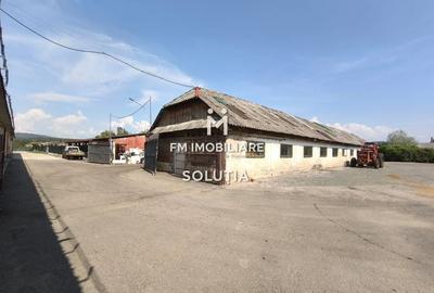 Complex industrial  cu teren 18,672 mp Târgu Lăpuș - 6