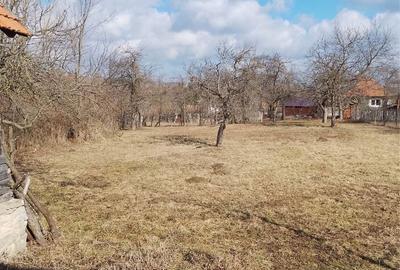 Casă cu 3 camere în Lelese - 4