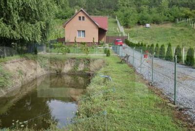 Casa cu teren generos ?i lac de pescuit Ceua?u de Ca - 4