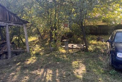 Titu Dambovita Casa - 3