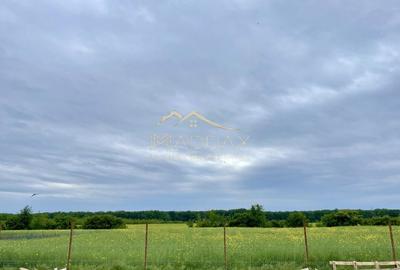 Vila exclusivista_P+1*5 Camere*Teren 704 mp*Langa Padure//Balotesti - 5