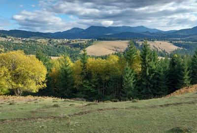 Teren de 10450 mp, în Tiha Bârgăului - 1