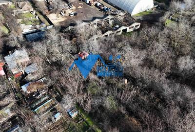 Teren intravilan BIDIDIA, zona deosebita, 550MP - 5