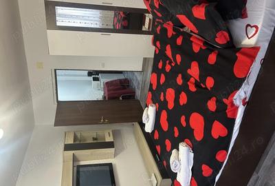 Garsonieră decomandată în Calea București - 3