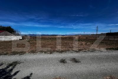 Teren Prelungirea Panduri - 1