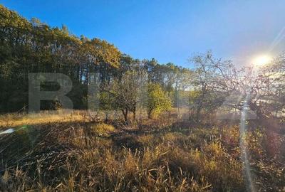 Casa Comuna Plopu , Sat Nisipoasa cu teren aproape de padure ! - 1