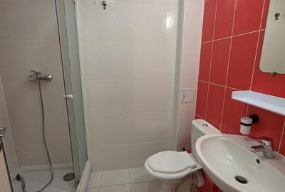 Garsonieră semidecomandată, mobilată în Theodor Pallady - 3