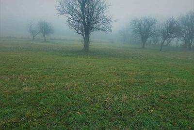 Spațiu comercial, în Sohodol - 7