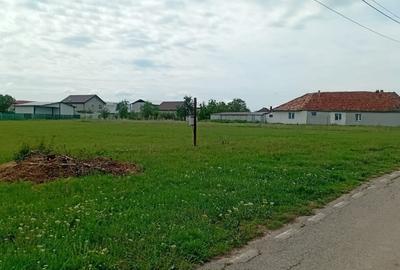 Teren zona Alunis - 1345 mp - 1