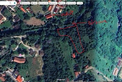 Teren de 1150 mp, în Văliug - 2