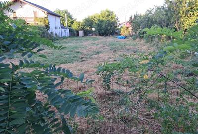 Teren Construcții de 732 mp, în Copăceni - 3