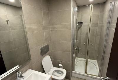 Garsonieră decomandată, mobilată în Dristor - 7