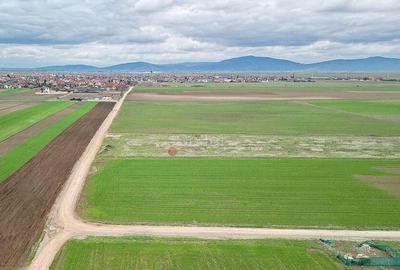 Teren de 427 mp, în Hărman