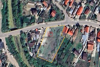 Teren Domnesti - Ciutaci, ILFOV - 1