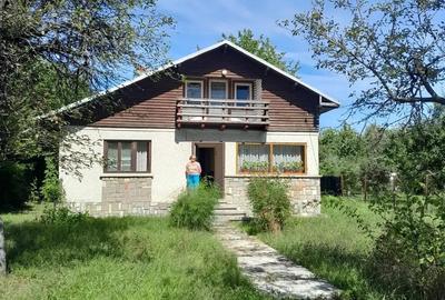 Casa Breaza central cu un mare cire? alb pentru dulcea?a! - 7