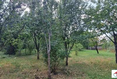 Casă cu Teren 1374 Mp în Central