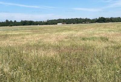 Teren de vanzare in Pipera - 4