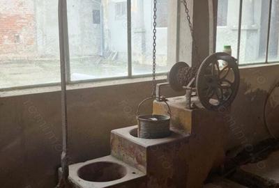 Proprietar- Ideala ptr. locuit, azil, clinica etc. - 2