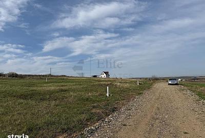 Teren de 700 mp, în Paleu - 8