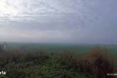 Teren de 3801 mp, în Dăeni